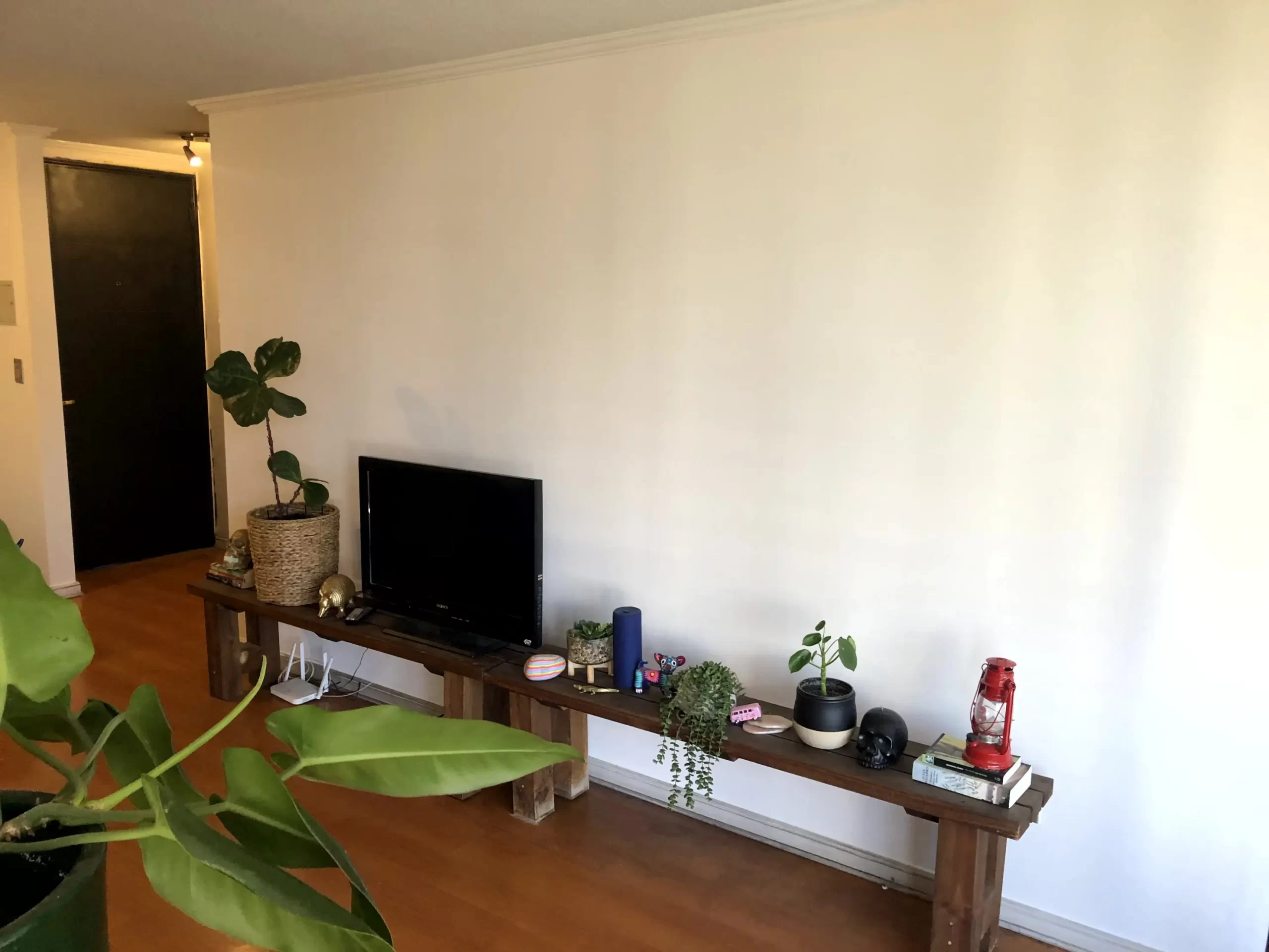 IMG_6515_resultado