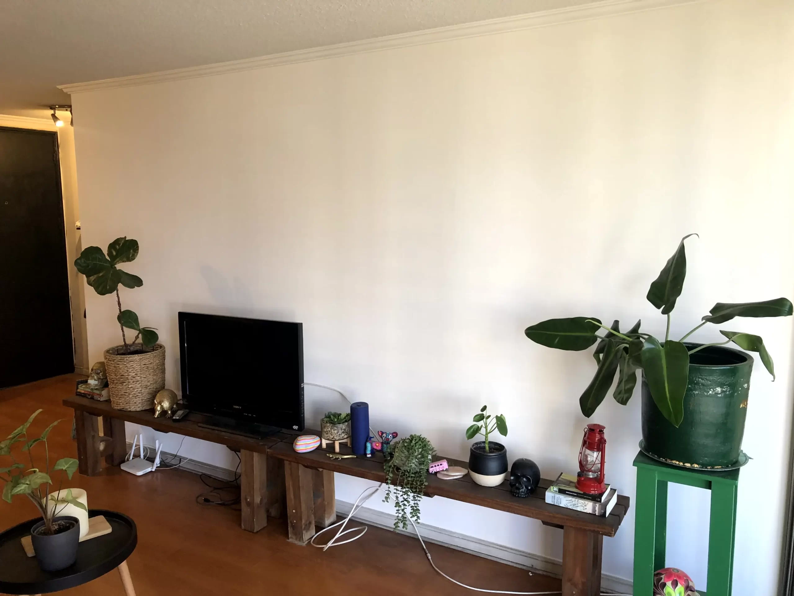 IMG_6521_resultado