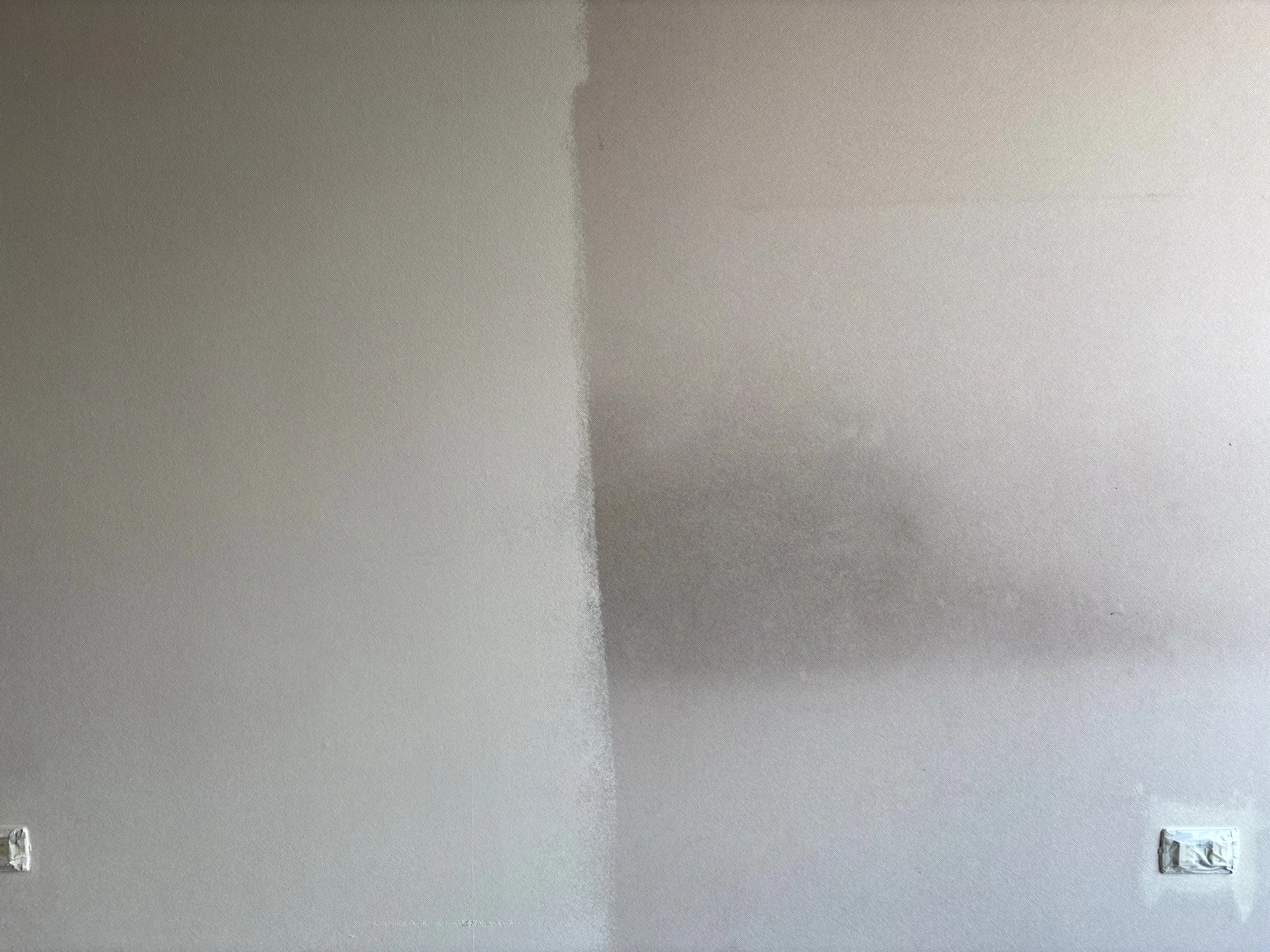 IMG_7315_resultado