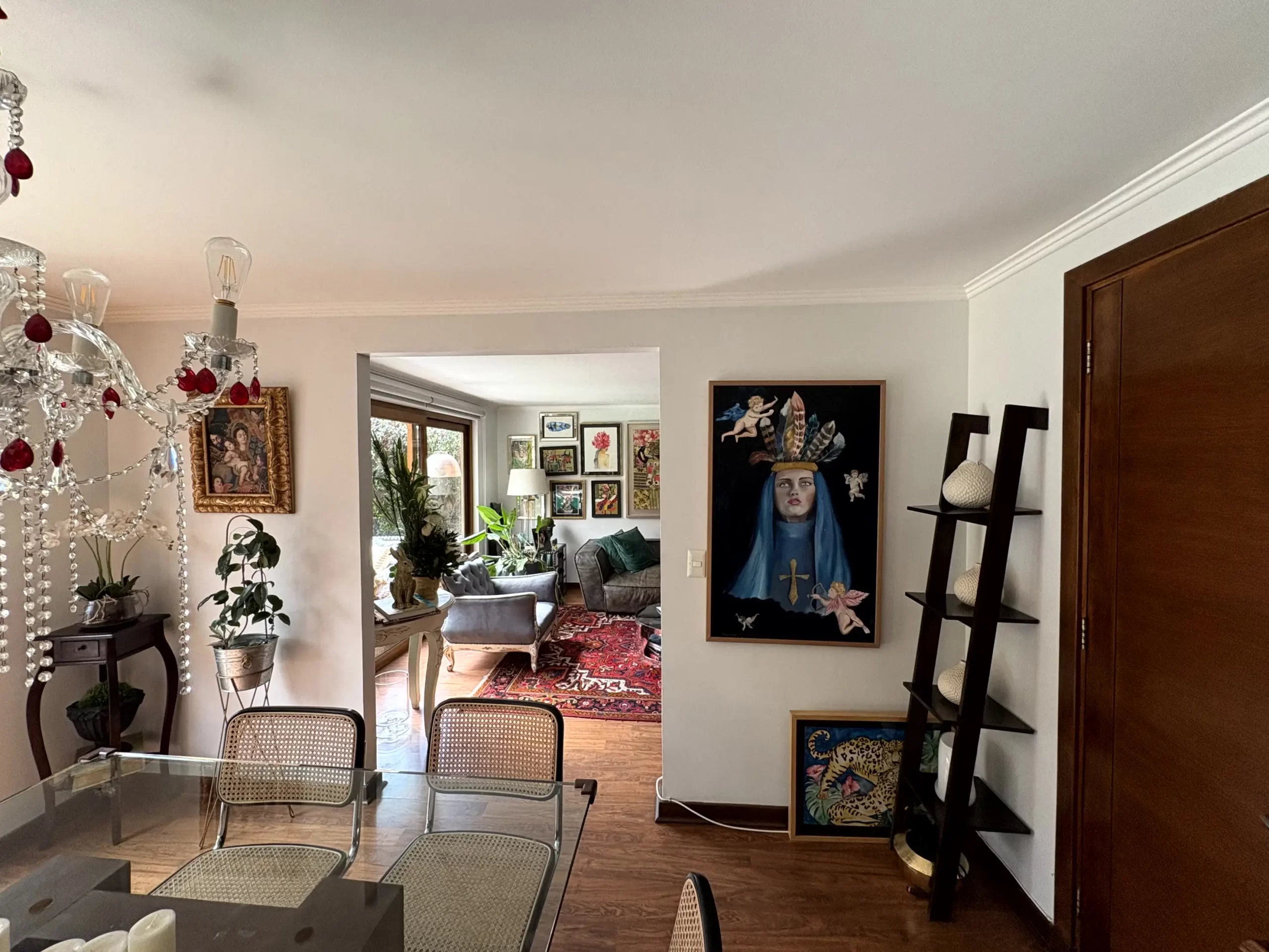 IMG_7563_resultado